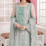 Bridal Organza Suit  Heavy Embroidery with Stones & Pearls
