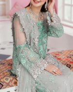 Bridal Organza Suit  Heavy Embroidery with Stones & Pearls - Image 5