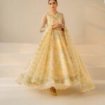 Luxury Chiffon Digital Maxi Suit  Festive Collection  with Embroidered Organza Dupatta